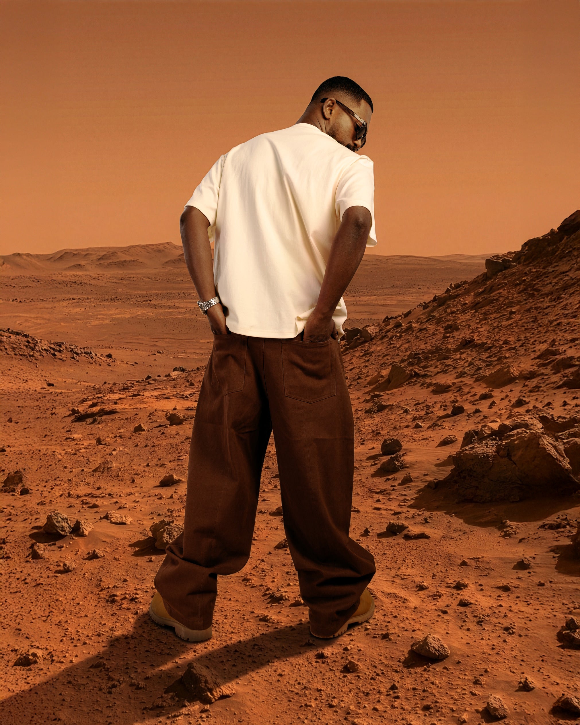 Person standing on a barren, rocky landscape with a desert-like color palette.